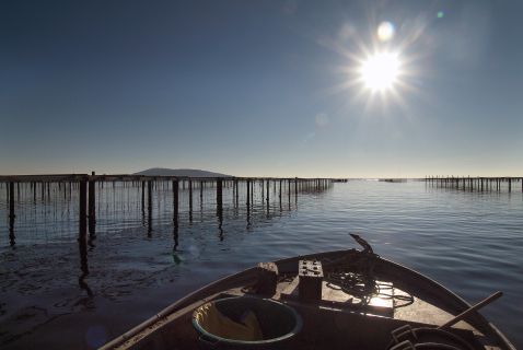 À Bouzigues, sur l'étang de Thau