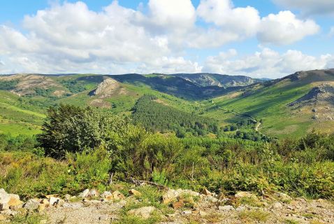 À Avène, en Haut Languedoc